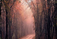 叙利亚队球员加盟本地球队：一场技艺与热情的双向升级