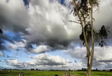 南安普顿绝杀险胜，积分榜稳步上升