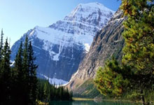 魔术主教练多点开花，战术变化赢得认可