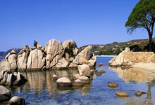 凯尔特人队球员接受采访，分享胜利喜悦