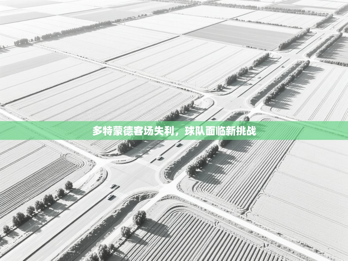 多特蒙德客场失利,球队面临新挑战 第1张