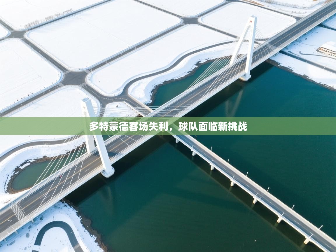 多特蒙德客场失利,球队面临新挑战 第2张